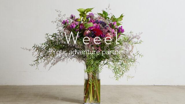 【ファッション業界特化型】コンサルティングファーム「Weeel(ウェル)」がビジネススタート。のメイン画像