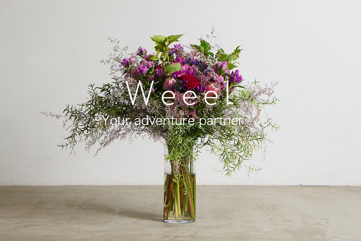 【ファッション業界特化型】コンサルティングファーム「Weeel(ウェル)」がビジネススタート。のサブ画像1
