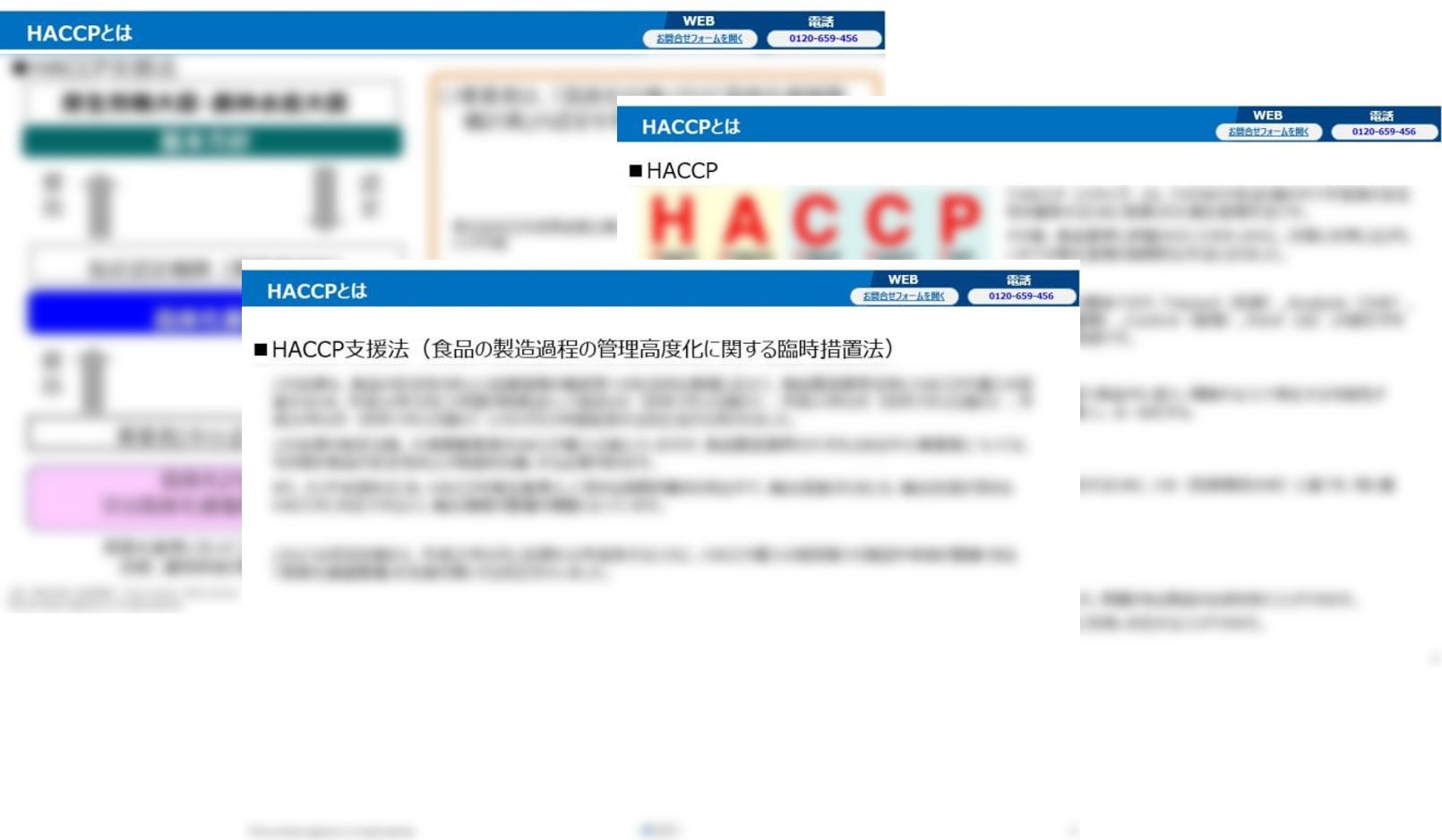 【無料ダウンロード可】HACCP取得の義務化において冷蔵倉庫業がすべきことについてノウハウを公開のサブ画像2